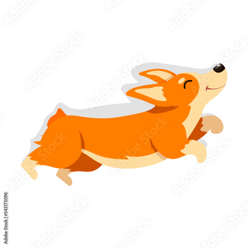 Corgi dog character jumping dreamily. Vector illustration of corgi isolated on white. Pet care, domestic animals