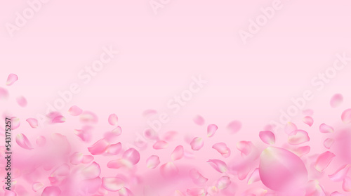 Pink rose petals vector template. Flying realistic voluminous blurred sakura petals with blur effect. Spring flower illustration for background, wallpaper, banner, romantic greeting card.