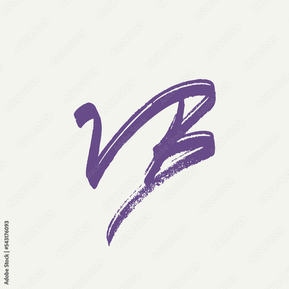 VB monogram logo.Calligraphic icon.Script letter v, letter b.Lettering sign isolated on light background.Signature alphabet initials.Handwritten style brush characters. VB monogram logo.Calligraphic icon.Script letter v, letter b.Lettering sign isolated on light background.Signature alphabet initials.Handwritten style brush characters.