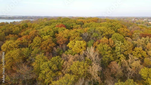 Aerial View. Ascending Above a Brightly Colored Forest in the Midwest. Leaves Changing Colors in Minnesota photo