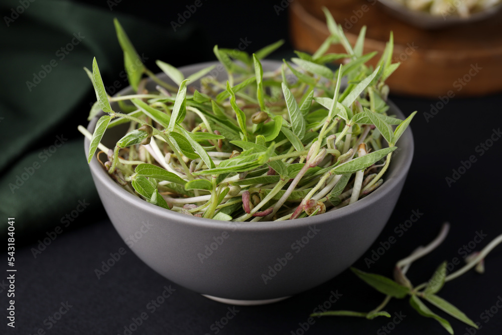 Mung bean sprouts in bowl on black table, closeup Mung bean sprouts in bowl on black table, closeup