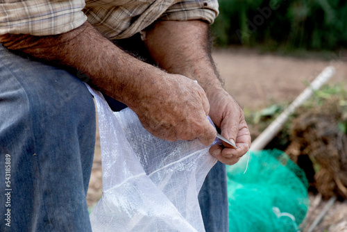 Konstfotografi manos de campesino con navaja abriendo bolsa de bono en la huerta