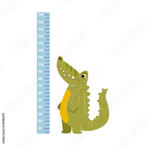 Height ruler with comic green crocodile, vector illustration. Wall sticker for measuring height of children with cute cartoon character isolated on white
