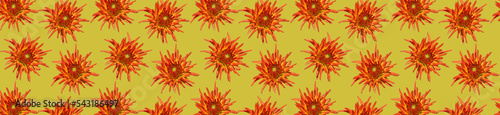 Panorama patern dahlia flowers of different sizes on a orange background.