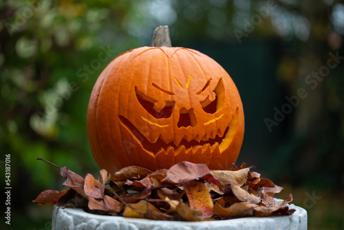 Kürbis Halloweeb Tag