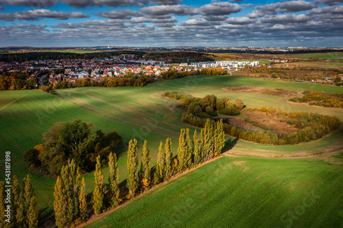 Beautiful landscape of the green meadow at sunny day, Poland photo