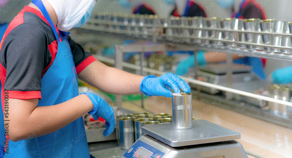 Worker working in canned food factory. Food industry. Canned fish
