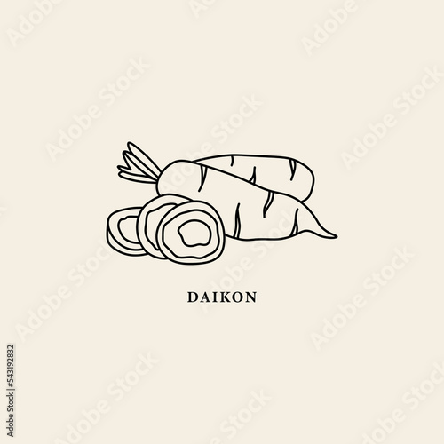Line art daikon root illustration