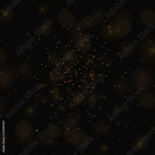 Shine with special light. Vector sparkles on a transparent background. Christmas light effect. Sparkling magical dust particles.