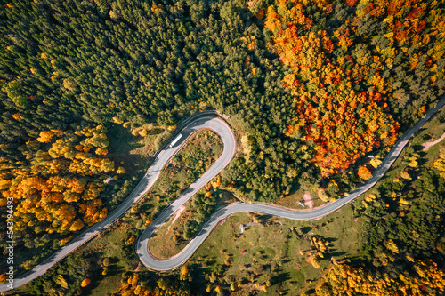 Aerial view of winding road in autumn forest