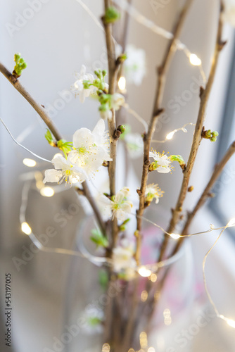 Blooming cherry branches with garland in a glass vase