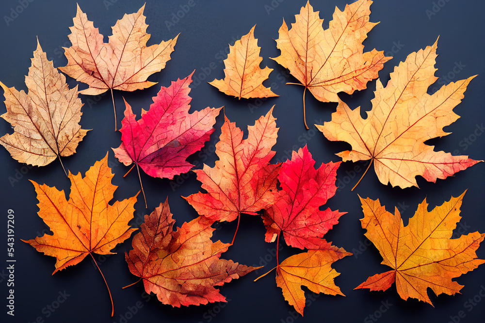 Fototapeta premium Autumnal leaves on a black background 