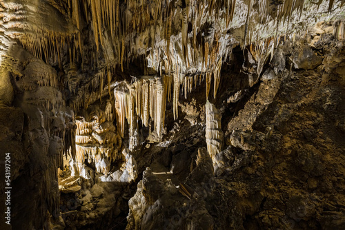 Under the ground. Beautiful view of stalactites and stalagmites in an underground cavern - Postojna cave, Slovenia, Europe photo