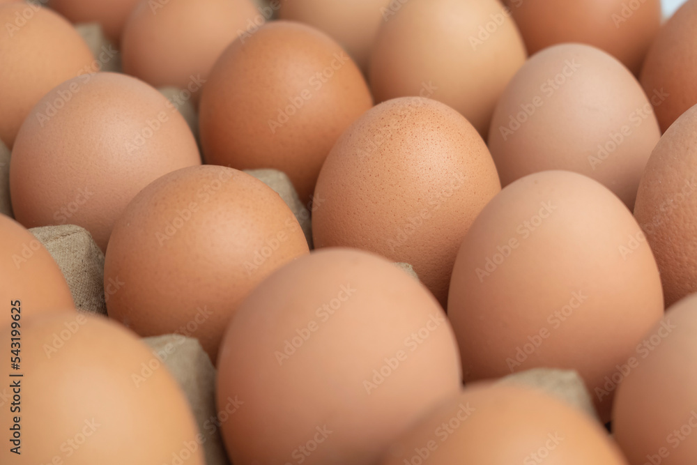 close up selective focus of fresh organic brown egg group on egg tray