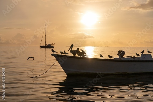 Boats over a background of a golden sunset hour at  Venezuela Los Roques