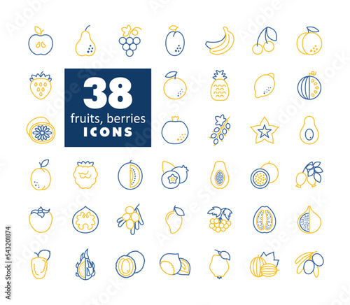 Set of Fruits and Berries vector icons