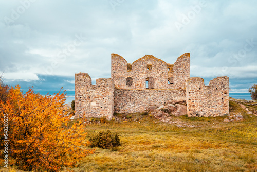 The ruins of Brahehus Castle are located by the lake Vattern near Granna in Smaland, Sweden. The castle was abandoned by the 1680s and suffered a fire in 1708.  photo