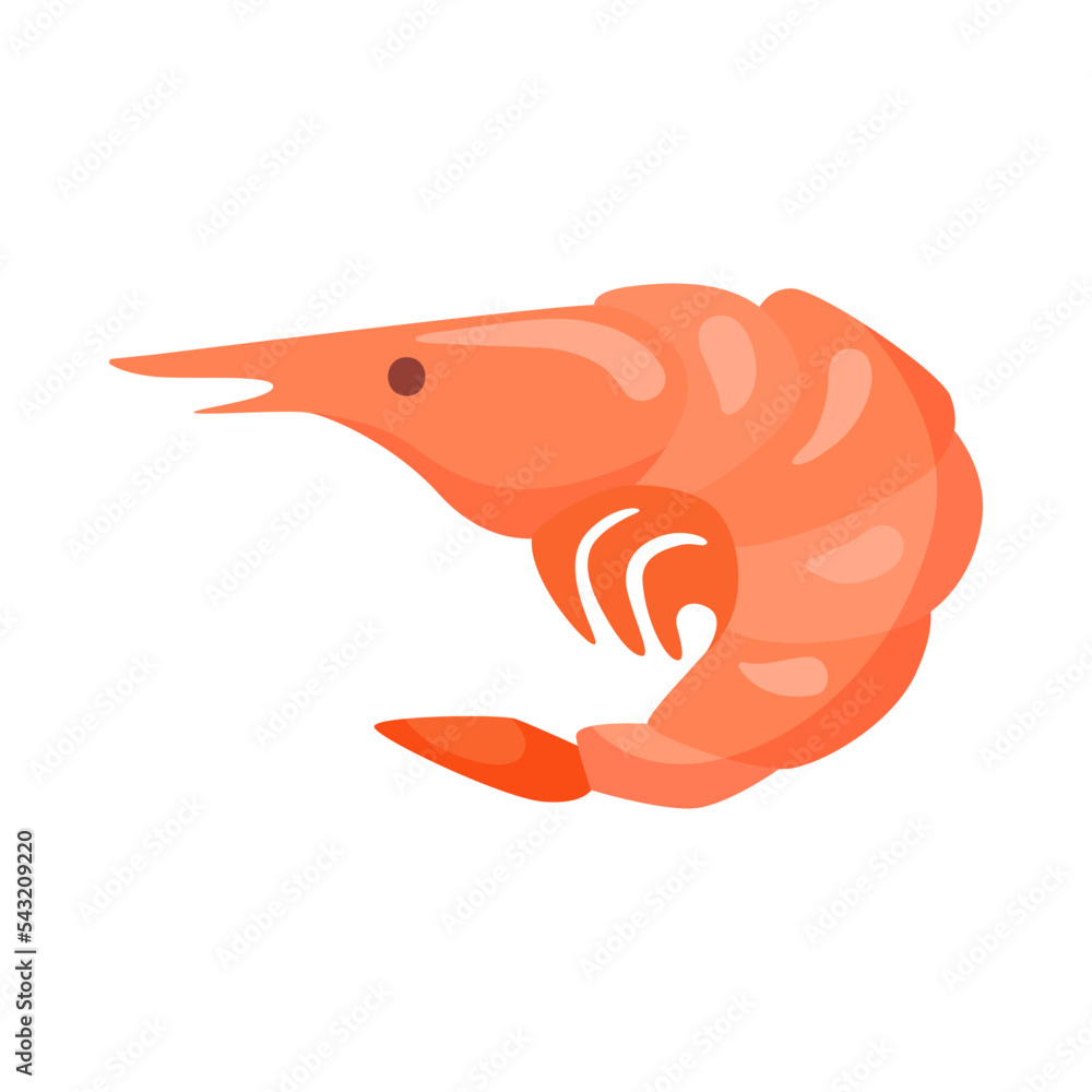 Vitamin b12enriched shrimp cartoon illustration. Organic shrimp