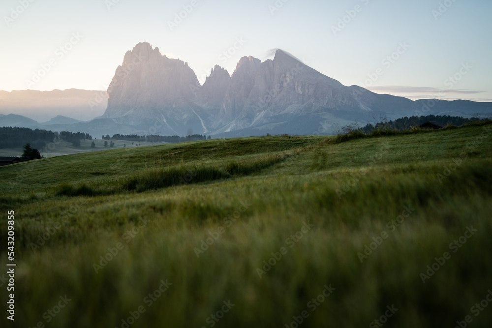 Naklejka premium Low perspective shot from the grass fields of the Seiser Alm, Northern Italy