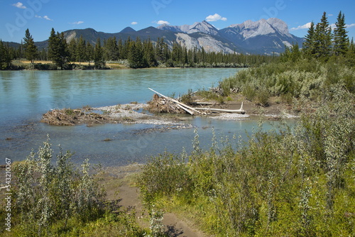 View of Athabasca River from Yellowhead Highway in Jasper National Park,Alberta,Canada,North America
 photo