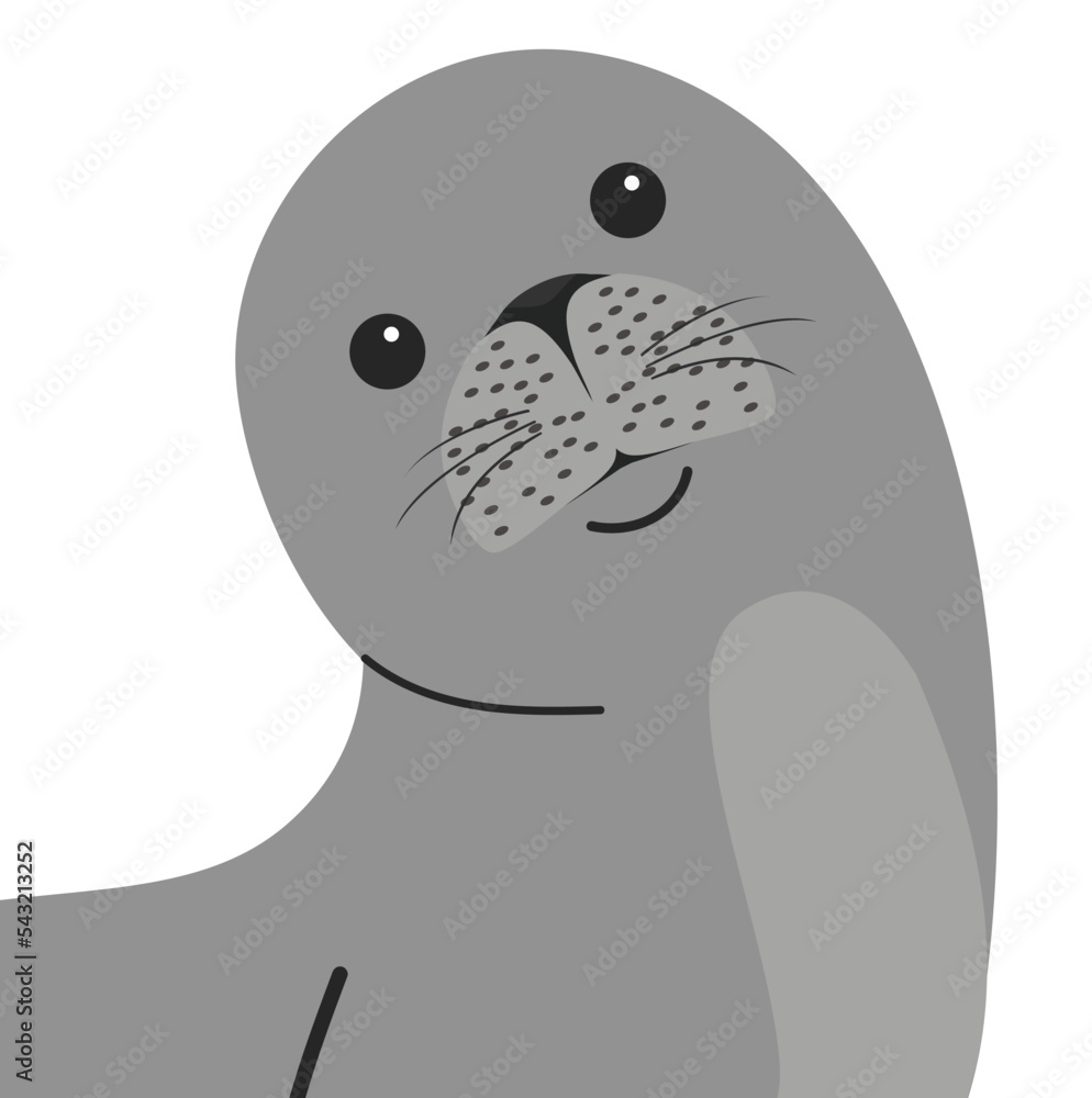Fototapeta premium Head Seal animal cartoon vector