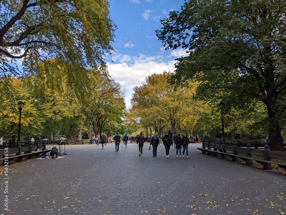 Fototapeta premium Central Park in Fall, New York, NY - October 2022