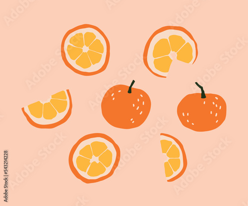 Vector winter delicious oranges and slices illustrations. Hand painted orange fruits. Cozy cute flat fruit icons