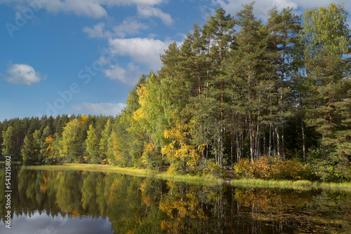 Autumn landscape. In the foreground is the mirror surface of the river. Trees and the sky are visible in the reflection of the water. In the background, you can see the shore of the island.