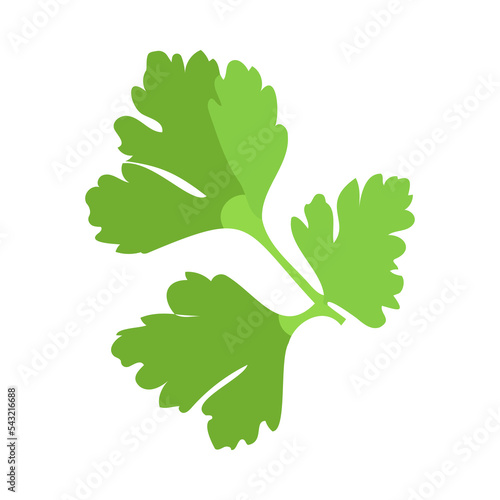 Vitamin A-enriched green parsley leaves cartoon illustration. Organic parsley. Healthcare, nutrition concept