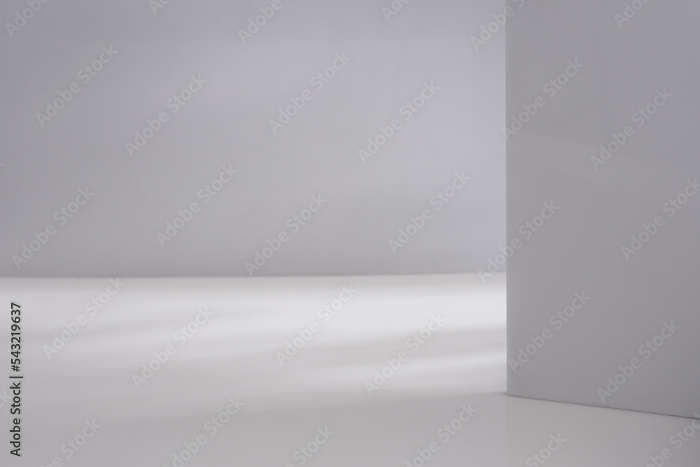 Abstract background for products overlay mock up,natural sunshade shadow Abstract background for products overlay mock up,natural sunshade shadow