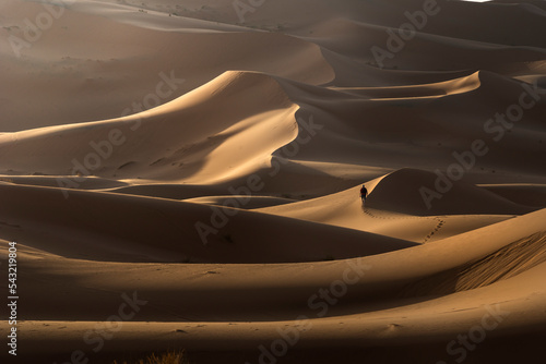 Man walking in a sand desert dunes