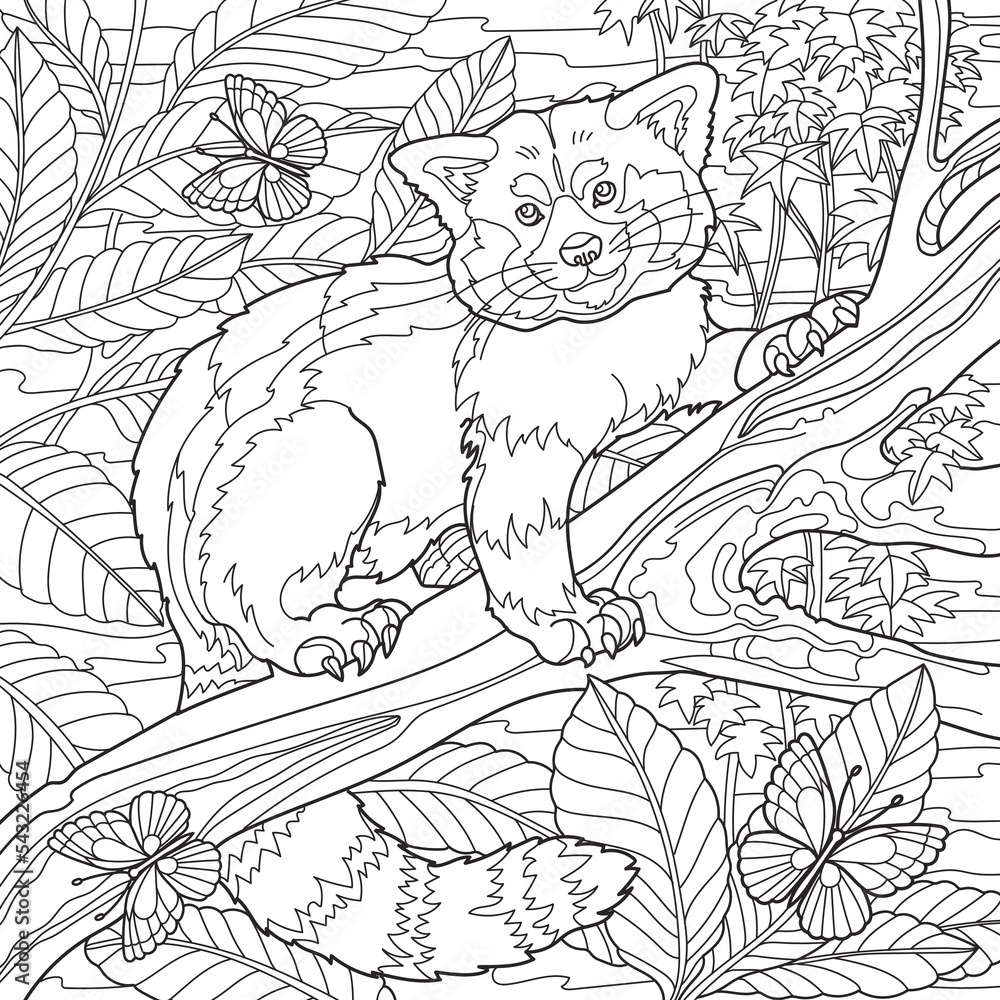 Coloring page for adults. Red panda bear sitting on tree. Vector