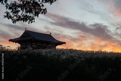 奈良県にある平城宮跡歴史公園から見た、青からオレンジに暮れる秋の夕空と一面の荻