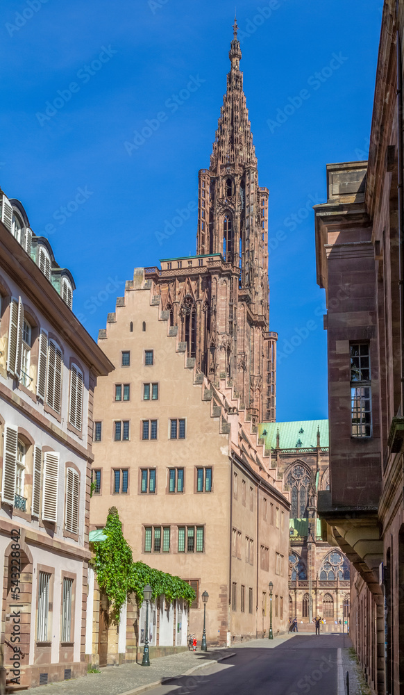 Obraz premium Strasbourg city view