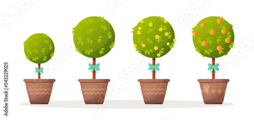Topiary bushes or trees in flowerpots vector illustrations set. Drawings of green potted plants with blue bows or ribbons on trunks isolated on white background. Decoration, nature, gardening concept