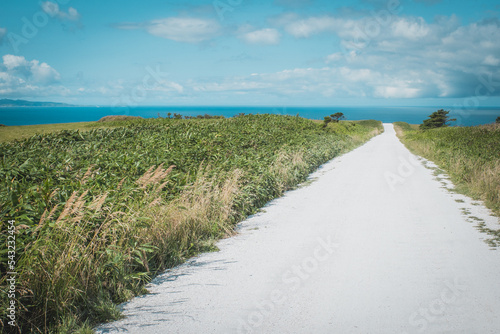 white path in wakkanai