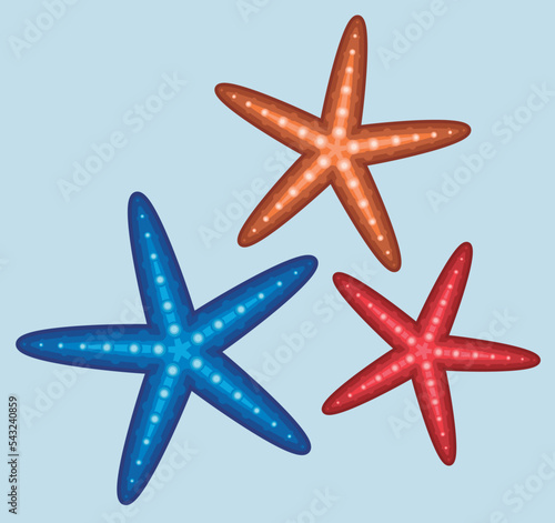Set of 3 Colorful Starfish