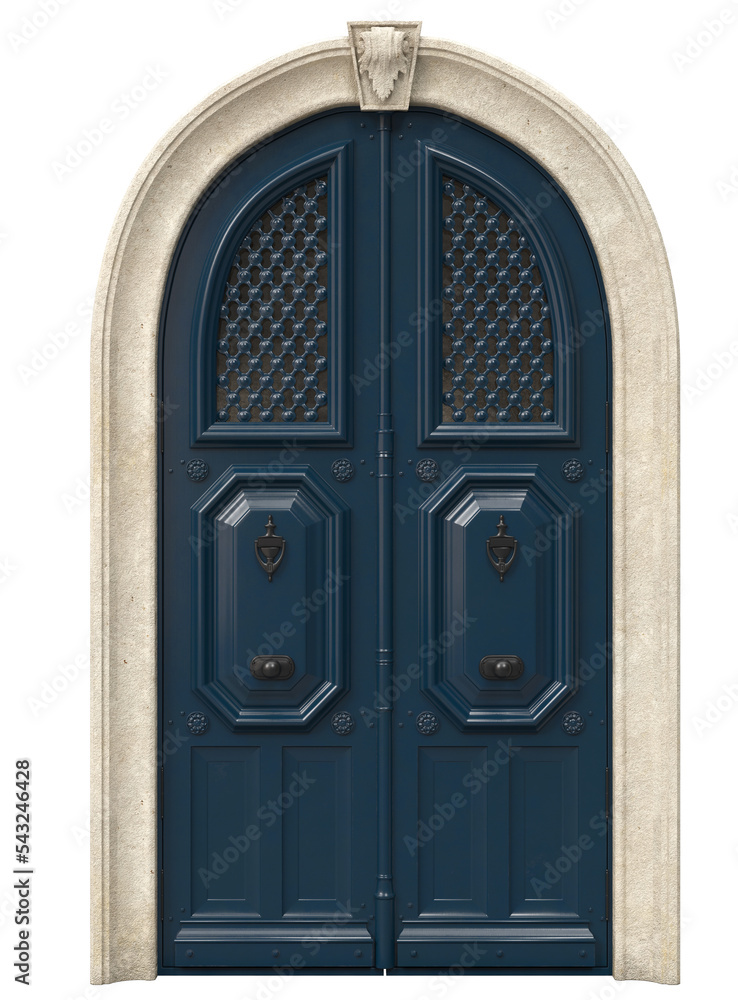 Entrance classic doors for the house