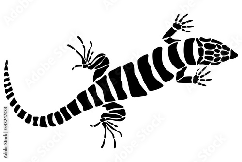 Black spotted lizard tattoo vector illustration