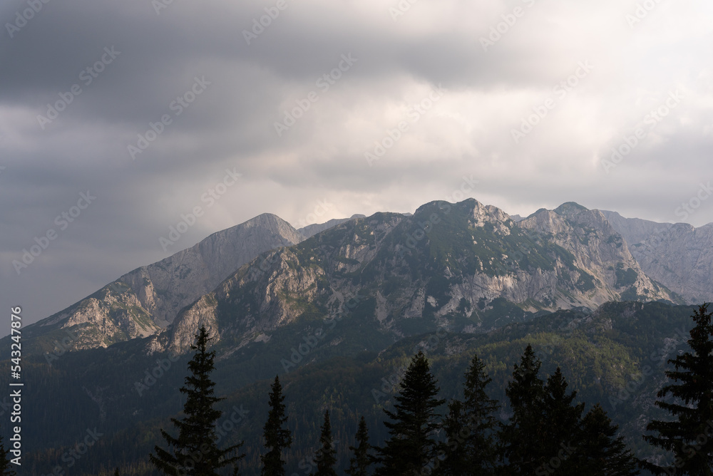 Fototapeta premium Durmitor national park in Montenegro. Amaizing mountains full of vegetation and animals with stunning views to the local countryside. Near Zabljak is highest peaks of this park. Beautiful landscape.