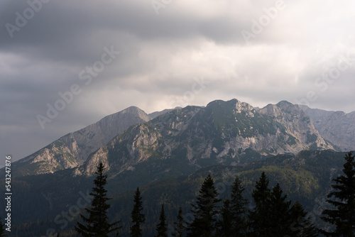 Durmitor national park in Montenegro. Amaizing mountains full of vegetation and animals with stunning views to the local countryside. Near Zabljak is highest peaks of this park. Beautiful landscape.