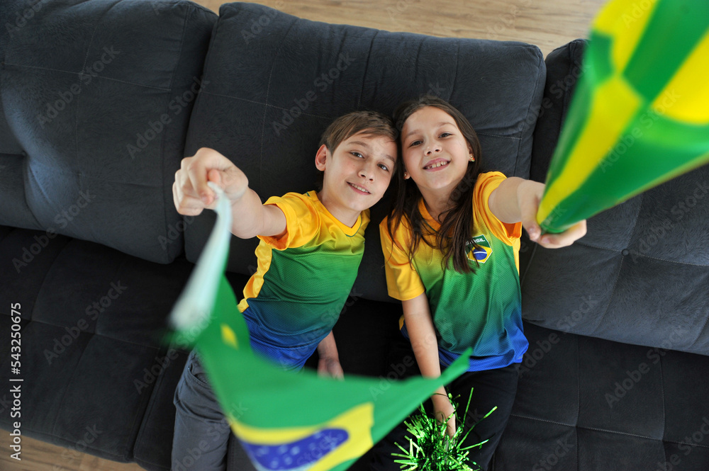 juntos  comemorando gol brasil copa do mundo vitória feliz  - obrazy, fototapety, plakaty 
