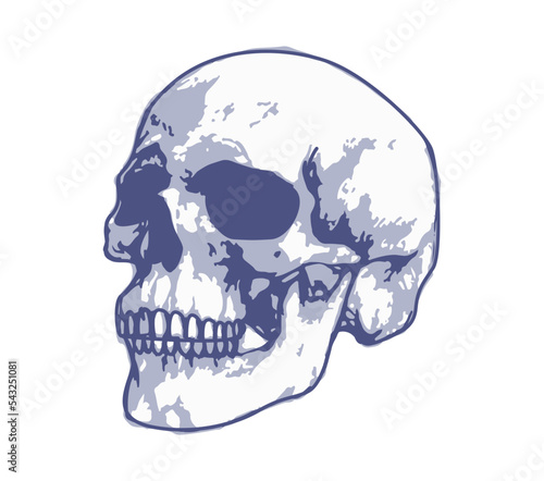 skull head illustration black and white