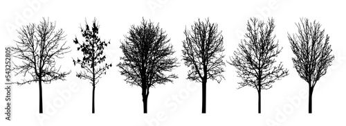 Bare trees silhouette, set. Vector illustration