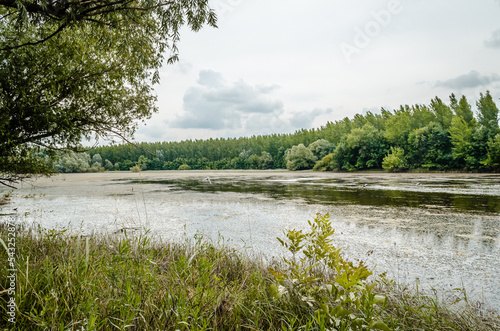 Fotografi A panoramic view of the constructed artificial lake.