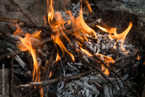closeup of campfire flames in outdoor