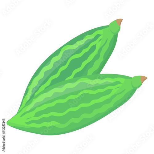 Trendy flat vector of bitter gourds