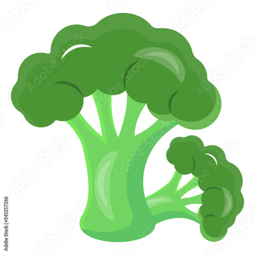 Iron rich vegetable, broccoli icon 