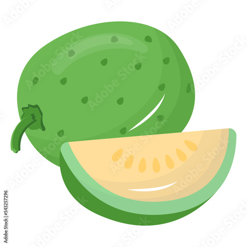A round gourd flat vector icon