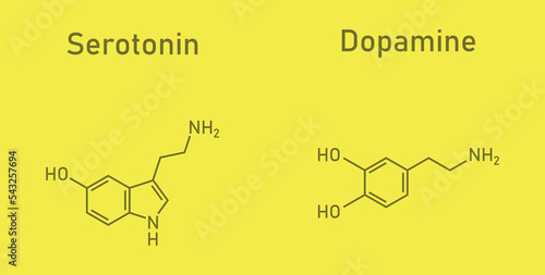 Dopamine and serotonin molecular structure. Scientific vector illustration isolated on yellow background. photo